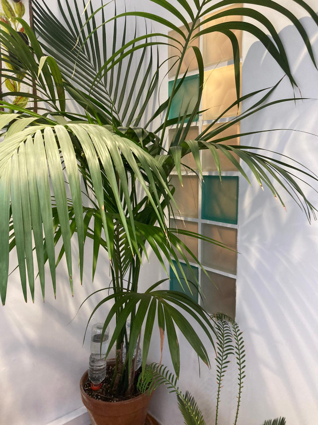 Pierres zen empilées – visuel minimal, ambiance apaisante